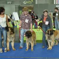 Salzburg Clubschau Mai 06 023 